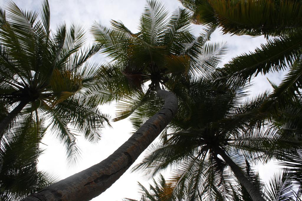 Hudhu Raakani Lodge Maldives Thinadhoo  Zewnętrze zdjęcie
