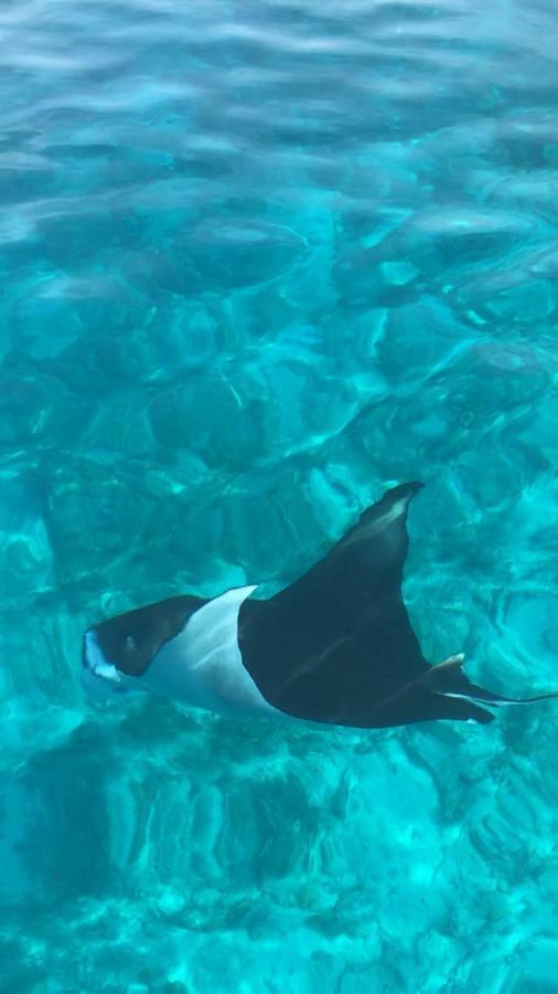 Hudhu Raakani Lodge Maldives Thinadhoo  Zewnętrze zdjęcie